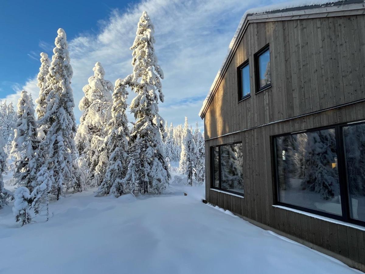 Martebaecken 19 Villa Sälen Eksteriør bilde